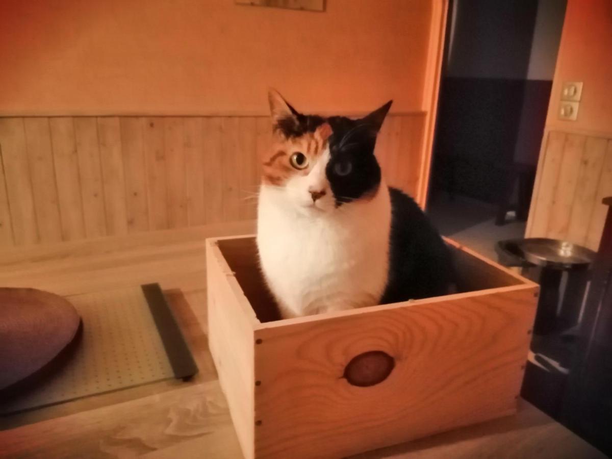 Grande Chambre D'Hote Proche Disneyland Et Parc Des Felins Guérard Екстериор снимка